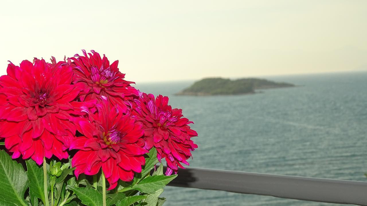 Meta Ksamil